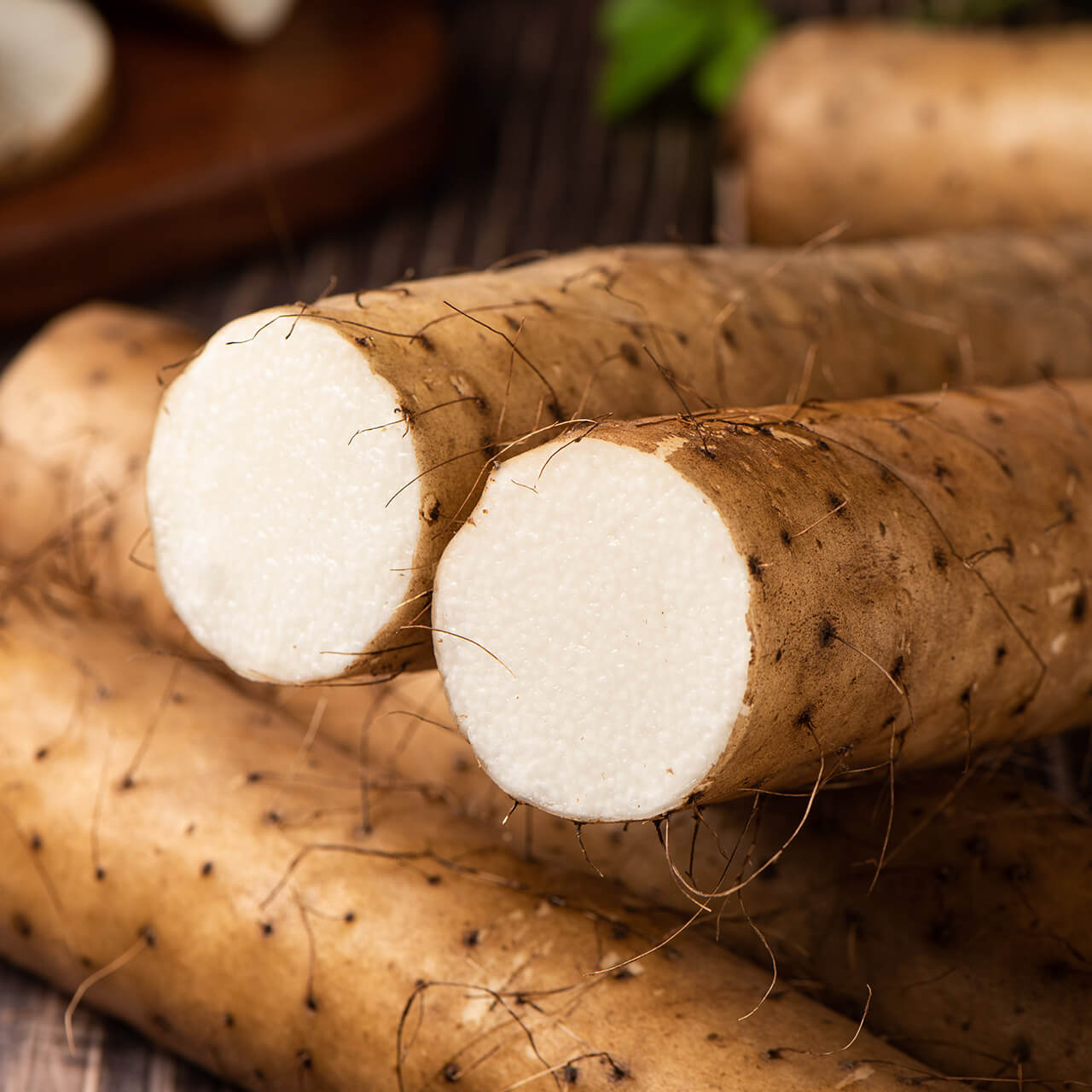 ネバリスター(5kg)