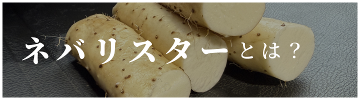 ネバリスターとは？